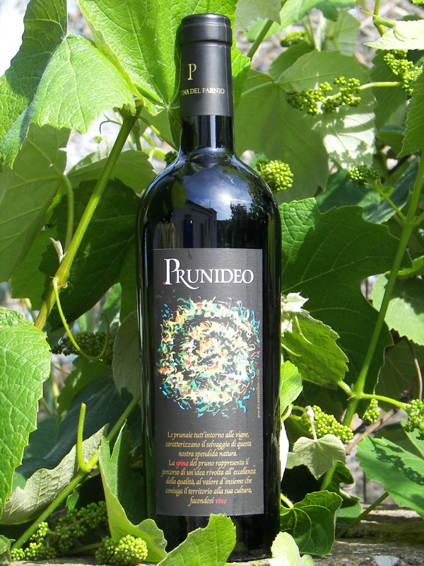 Rosso di Toscana &quot;Prunideo&quot;
